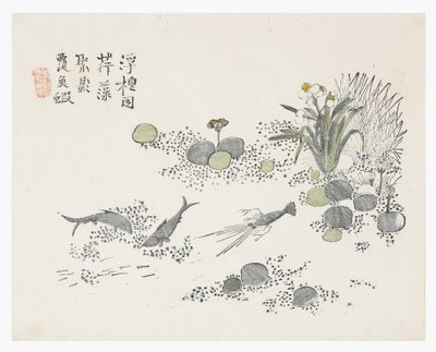 Jardín de Semillas de Mostaza de Chinese School
