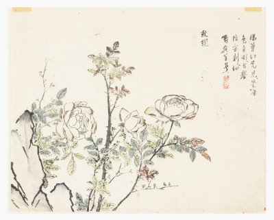 Jardín de semillas de mostaza de Chinese School