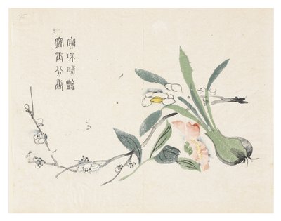 Jardín de semillas de mostaza de Chinese School