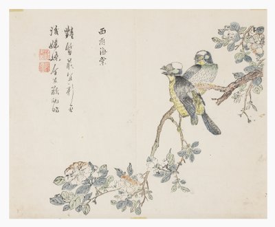 Jardín de semillas de mostaza de Chinese School