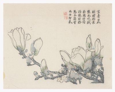 Jardín de semillas de mostaza de Chinese School