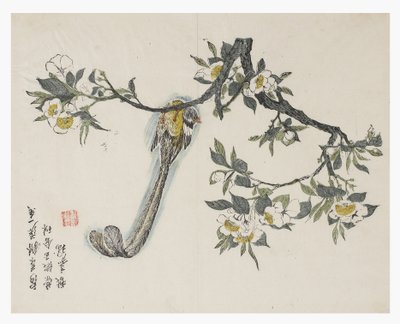 Jardín de semillas de mostaza de Chinese School
