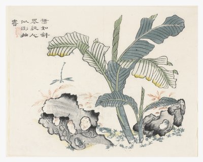 Jardín de la semilla de mostaza de Chinese School