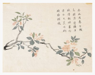 Jardín de la semilla de mostaza de Chinese School