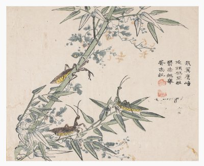 Jardín de la semilla de mostaza de Chinese School