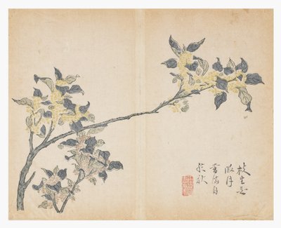 Jardín de la Semilla de Mostaza de Chinese School