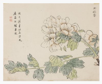 Jardín de la Semilla de Mostaza de Chinese School