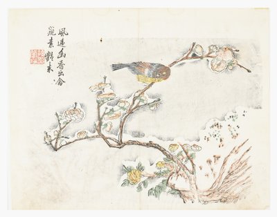 Jardín de semillas de mostaza de Chinese School