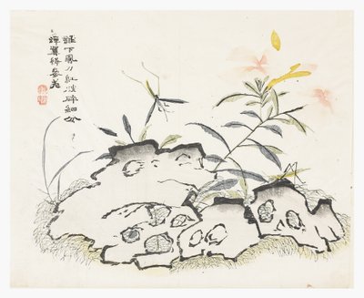 Jardín de semillas de mostaza de Chinese School