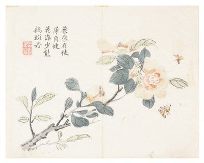 Jardín de semillas de mostaza de Chinese School