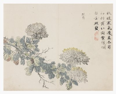 Jardín de semillas de mostaza de Chinese School
