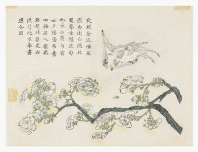 Jardín de Semillas de Mostaza de Chinese School