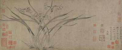 Narciso, dinastía Song de Chinese School