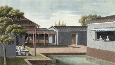 Clasificación del té de Chinese School