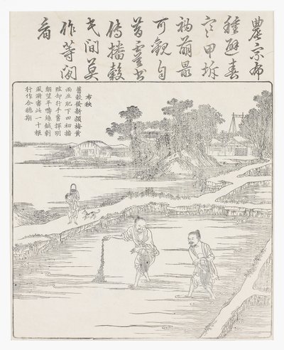 Sembrando el arroz en un semillero, siglo XVIII de Chinese School