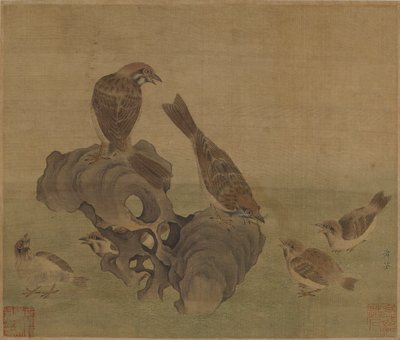 Gorriones alimentando a sus crías, dinastía Ming o Qing de Chinese School