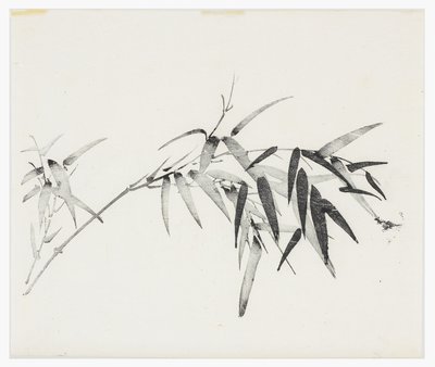 Serie de Diez Bambúes, siglo XVIII de Chinese School