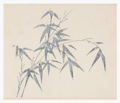 Serie de Diez Bambúes, siglo XVIII de Chinese School