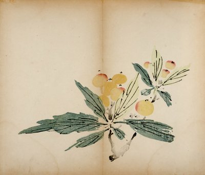 Impresiones del Estudio de los Diez Bambúes, 1643 de Chinese School