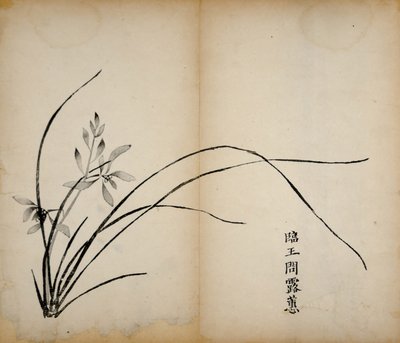 Impresiones del Estudio de los Diez Bambúes, 1643 de Chinese School