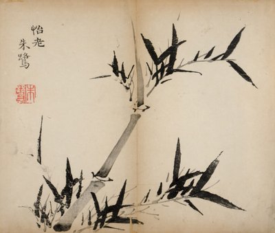 Impresiones del Estudio de los Diez Bambúes, 1643 de Chinese School