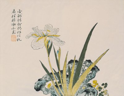 El jardín tan grande como un grano de mostaza, siglo XVII-XVIII de Chinese School