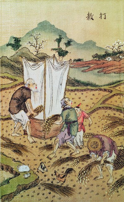 La historia del arroz de Chinese School