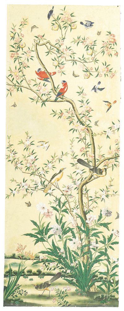 Imagen desconocida de Chinese School