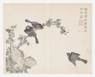 Jardín de semillas de mostaza de Ching yu Chiu