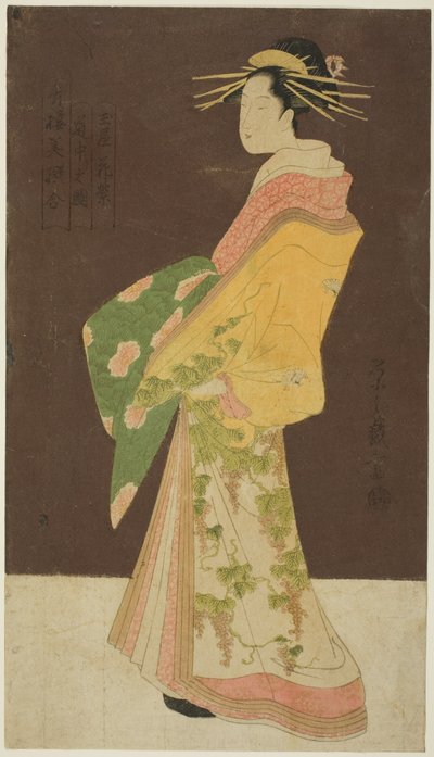 Una selección de belleza de los barrios del placer (Seiro bisen awase): Hanamurasaki del Tamaya en procesión (Tamaya Hanamurasaki dochu no zu) de Chobunsai Eishi