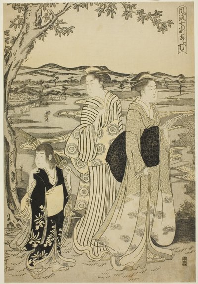 Loro Komachi, de la serie Los siete Komachi de moda (Furyu nana Komachi), c.1788 (xilografía en color; oban) de Chobunsai Eishi