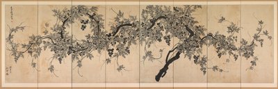Vid de Choe Seok hwan