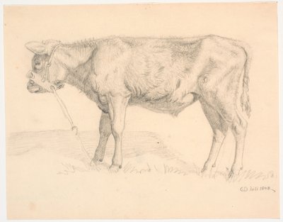 Un ternero de Christen Dalsgaard