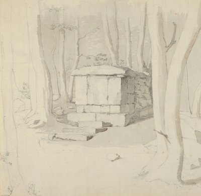 Una tumba de piedra en un bosque, reverso: Estudio de una flor, 1830 de Christen Købke