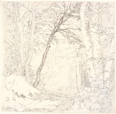 Camino a Través de un Bosque de Christen Købke