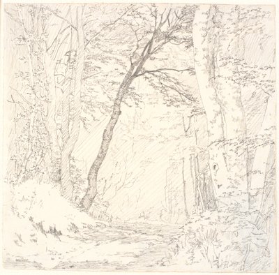 Camino a Través de un Bosque de Christen Købke
