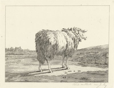 Ovejas en un paisaje de Christiaan Godfried Schutze van Houten
