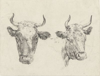 dos cabezas de vaca de Christiaan Godfried Schutze van Houten