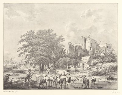 Rebaño de ganado en las ruinas del castillo de Brederode Kasteel de Christiaan Josi