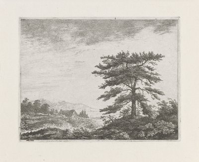 Árbol en un paisaje de brezales de Christiaan Wilhelmus Moorrees