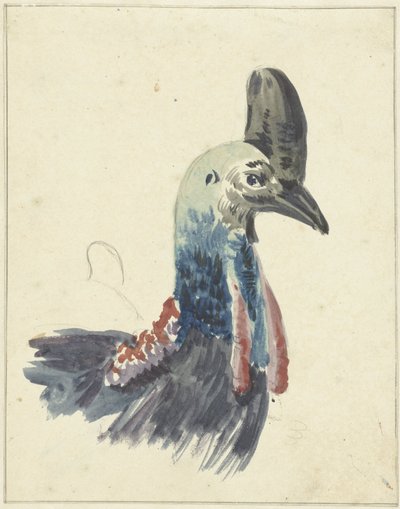 Cabeza de casuario de Christiaan van Geelen