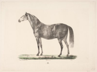 El caballo D de Christian David Gebauer