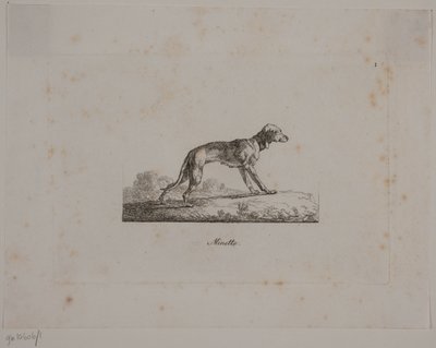 Minette de Christian David Gebauer