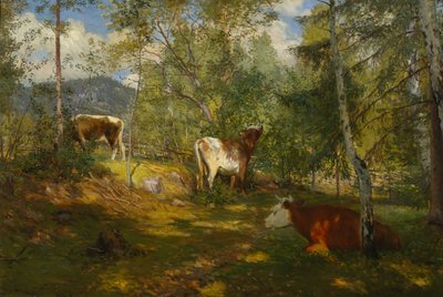 Manchas solares en el bosque de Christian Eriksen Skredsvig