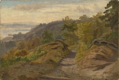 Arroyo de montaña de Christian Friedrich Gille