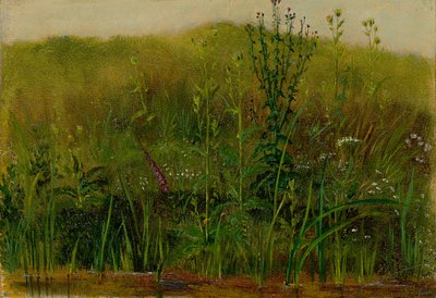 Plantas en la orilla de Christian Friedrich Gille