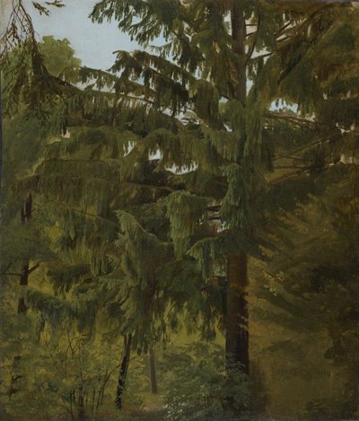 Abeto en el bosque caducifolio de Christian Friedrich Gille