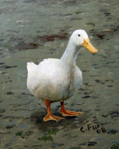 Ganso, 2006 (óleo sobre lienzo) de Christian Furr