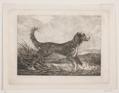 Un perro de Christian Holm