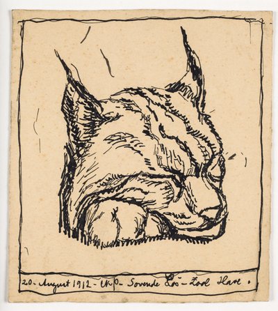 Lince durmiendo de Christian Kongstad Petersen